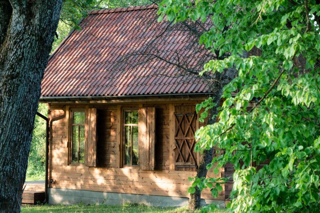 Siedlisko Szaciłówka - Domek Lipowy的锡屋顶的小型木屋