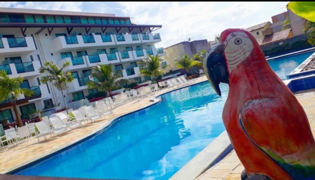 嘎林海斯港Flat 402 Laguna Beach - tipo Loft encantador, mobiliado e aconchegante的游泳池旁的鹦鹉雕像