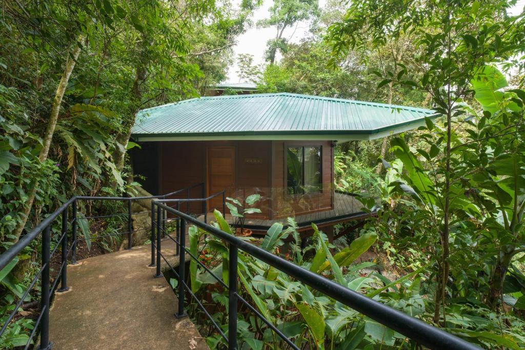 蒙泰韦尔德哥斯达黎加Koora Monteverde-a Cloud Forest Hotel by Sandglass的森林中间的小房子