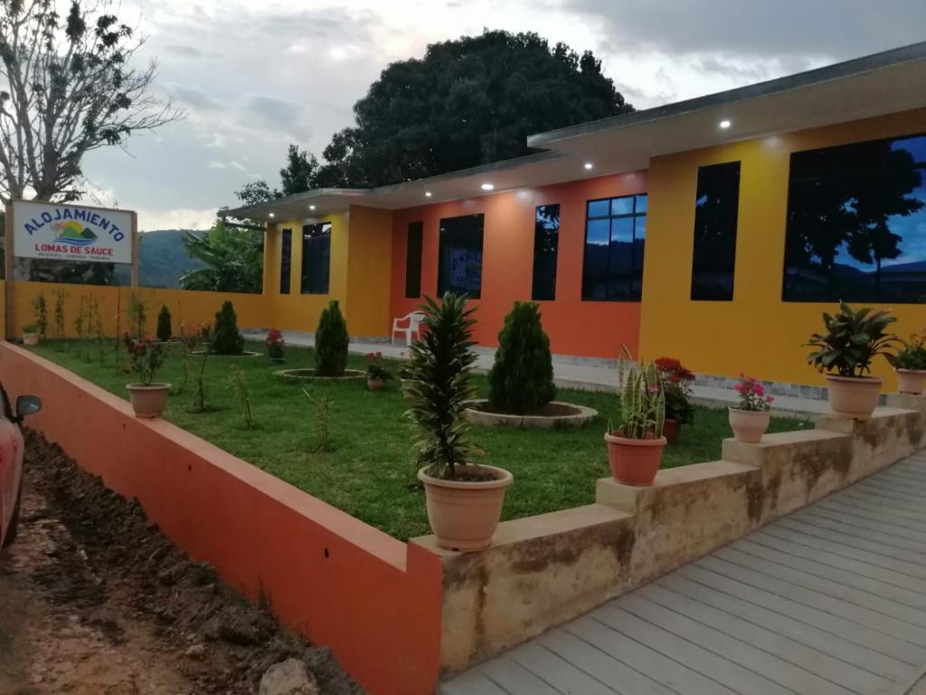 SauceLOMAS de SAUCE的黄色和橙色的房子,前面有盆栽植物