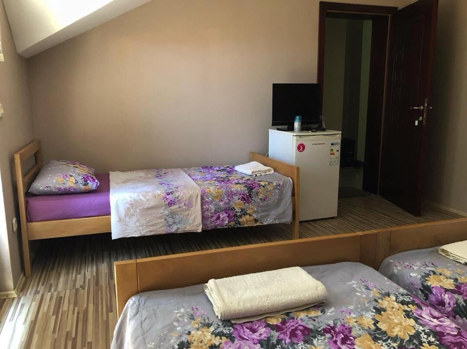 斯特鲁加Struga-Rooms/Dhoma/Sobi的客房设有两张床和电视。