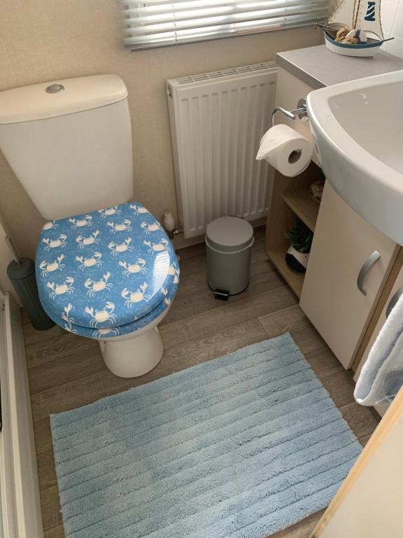 库伯特Bude 13的浴室配有卫生间、水槽和蓝色地毯。