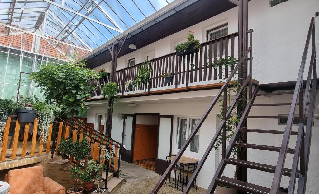 大梅杰尔Bolek apartmany的建筑中的一个有盆栽植物的楼梯