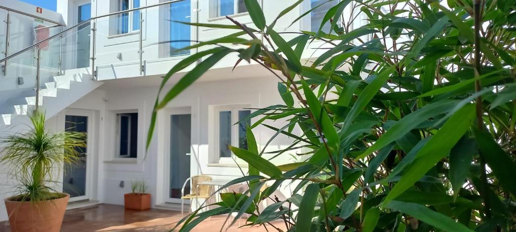 米尔芳提斯城Apartamentos Naturalis的前面有绿色植物的白色房子
