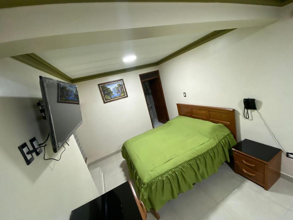 波托西Hostal Los Pozos的一间小卧室,配有绿色的床和电视