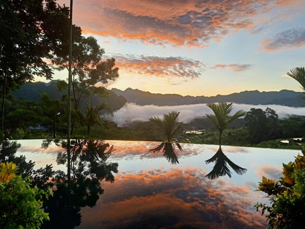 Pu LuongPuluong Home的享有棕榈树湖泊和日落美景