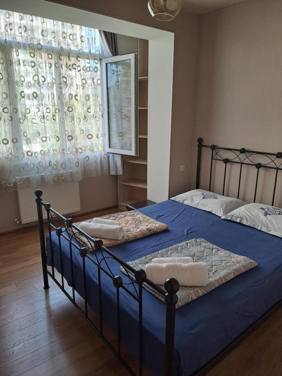 第比利斯APARTMENT in TBILISI Koko的一间卧室设有两张带蓝色床单的床和窗户。