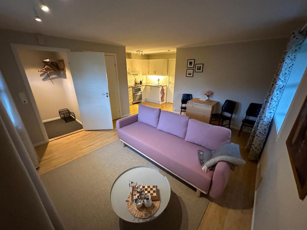 斯沃尔韦尔City Svolvær的享有带紫色沙发的客厅的顶部景色