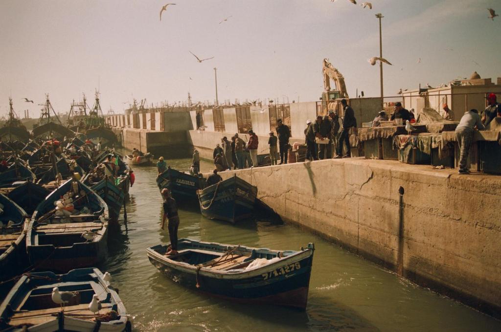 索维拉Les Terrasses d'Essaouira的一群人站在桥上,在水中乘船