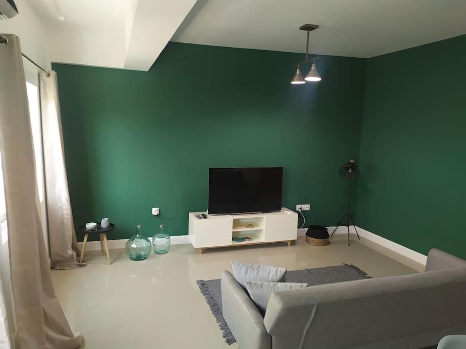 普拉亚Homing Plateau - Apartment in the city of Praia的客厅设有绿墙和平面电视