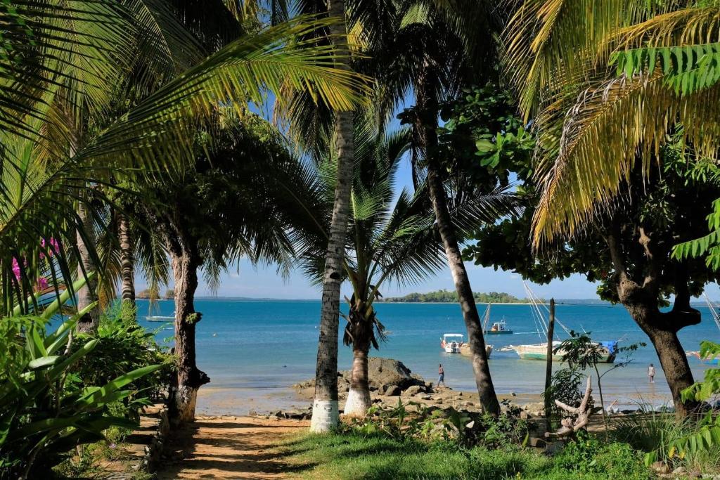 Nosy KombaVilla Ilo Komba的棕榈树海滩和海洋