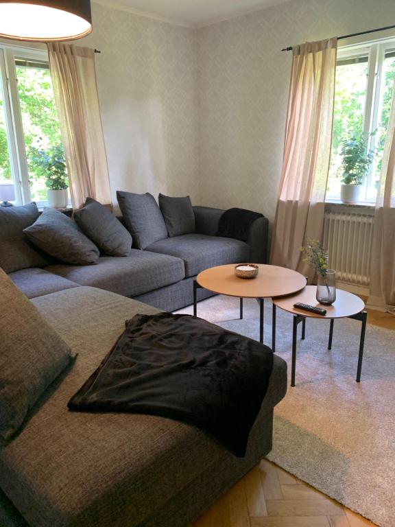 延雪平Lägenhet på Strömsholm的客厅配有沙发和桌子