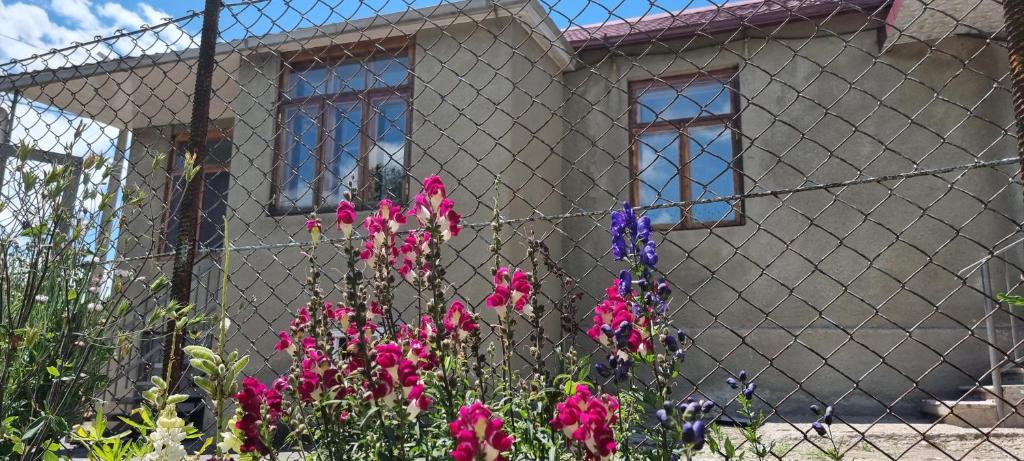 TsalkaTsalKo的前面有鲜花的围栏后面的房子