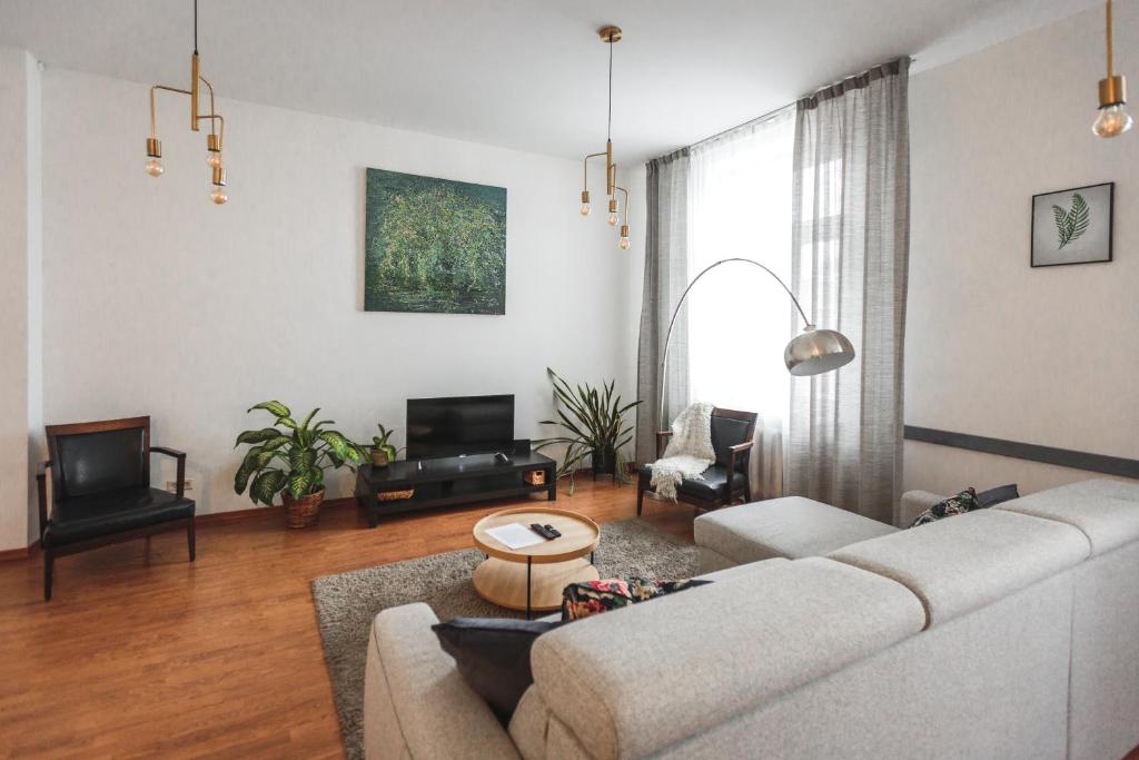 里加贝尔斯理市中心公寓的带沙发和电视的客厅