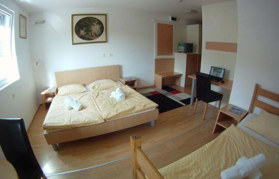 Trebnje特雷布涅银河酒店的一间卧室配有一张床和一张书桌
