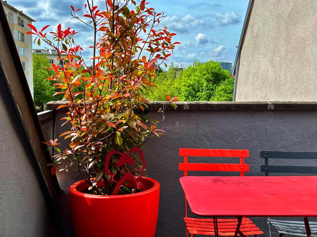 斯特拉斯堡Le Balcon fleuri centre Robertsau tram Jardiniers的红椅旁边的红盆里的红植物