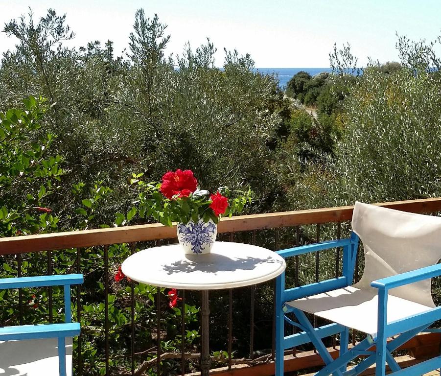 帕琉乔拉Olive tree Cottages的阳台配有一张桌子和两把椅子以及花瓶