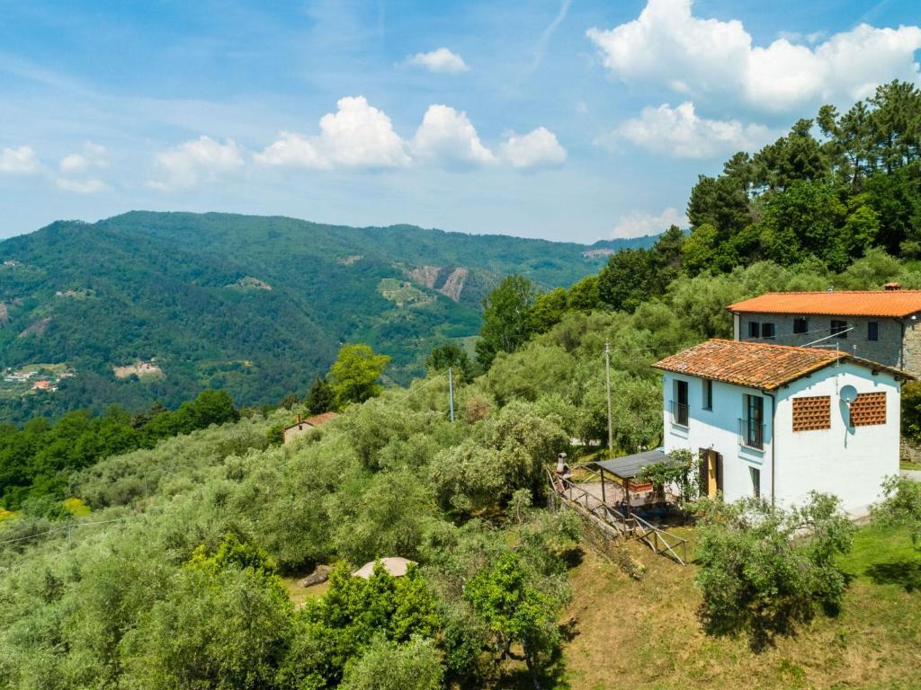 UzzanoIdyllic Holiday Home in Pescia with Swimming Pool的山丘上以山为背景的房子