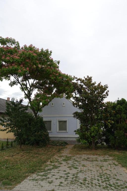 基特塞Alla的前面有两棵树的白色房子