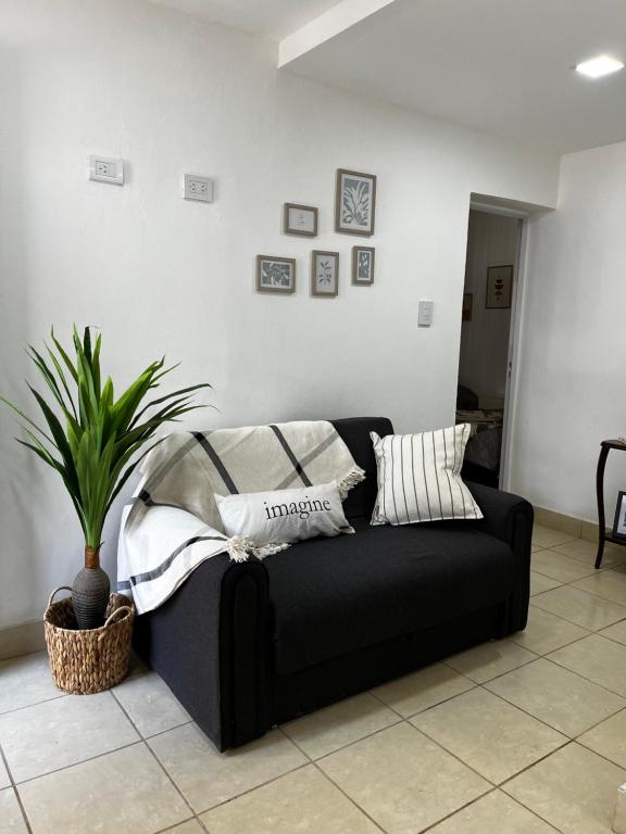 奇莱西托Departamento Cristo del Portezuelo II的客厅里一张黑色的长沙发,上面有植物