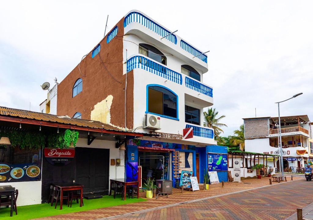 巴克里索莫雷诺港Blue Horizon, Galápagos的街道上带有蓝色点缀的建筑