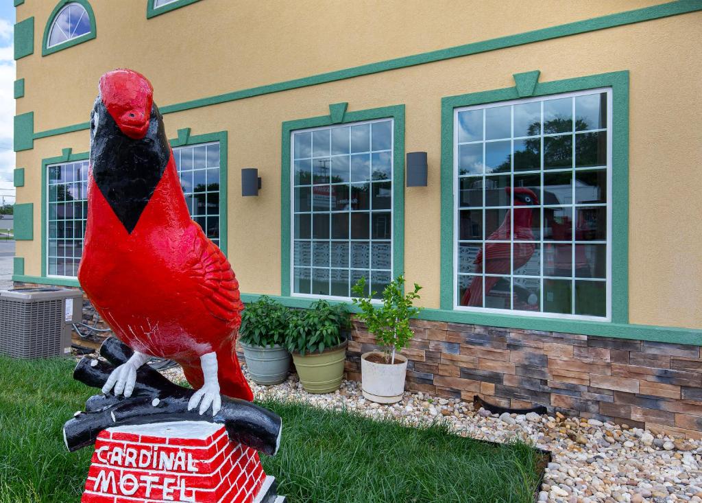 博林格林保龄格林红衣主教汽车旅馆的一只红色鹦鹉坐在箱子上的雕像