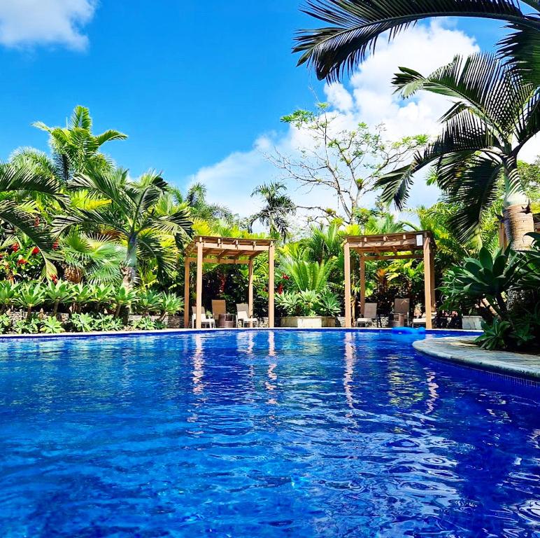 福尔图纳Hotel Boutique Casa Del Rio的一座拥有蓝色海水和棕榈树的游泳池
