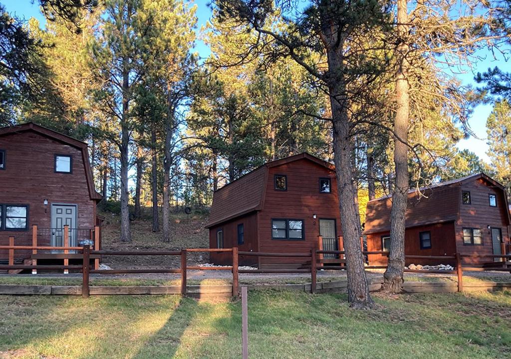 利德Trailshead Lodge - Cabin 4的森林中间的一座大型木屋