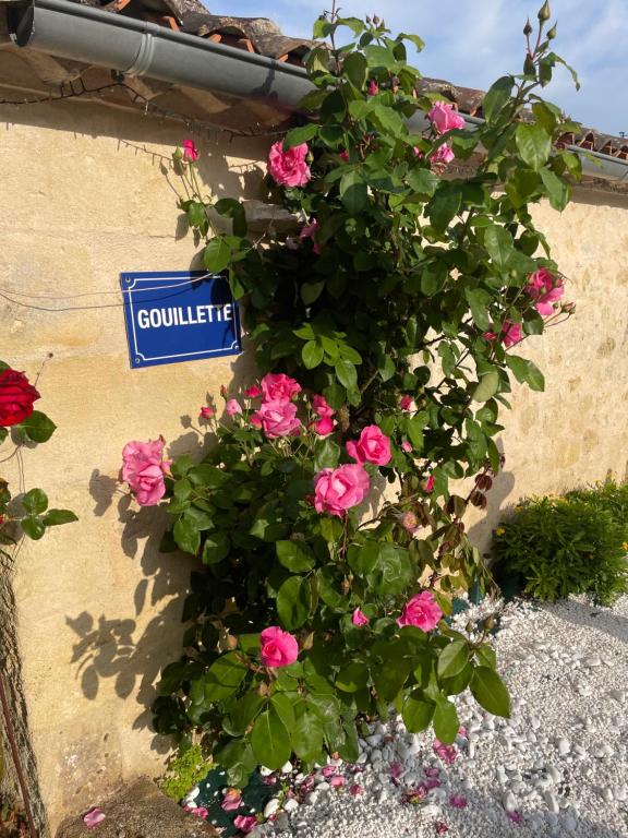 Saint-Pey-de-CastetsGouillette的建筑物一侧的粉红色花丛