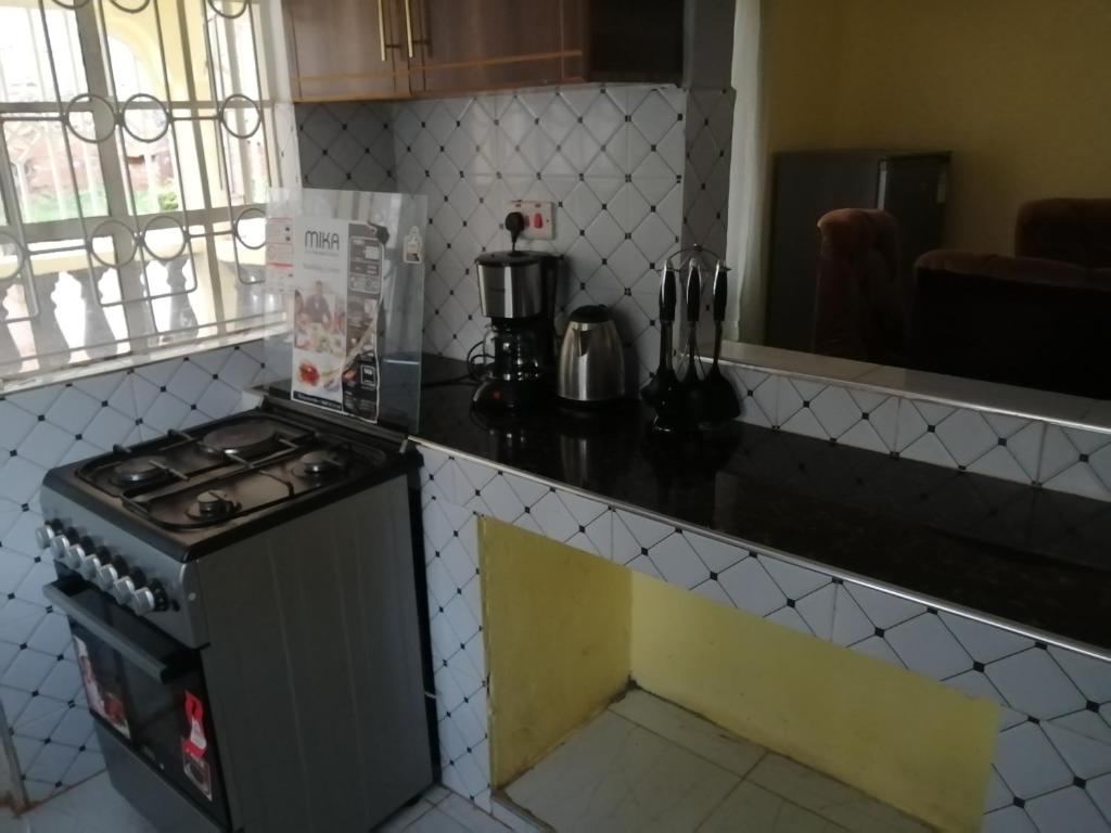 KisiiMwamba Homes的厨房配有炉灶和台面