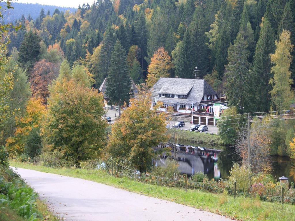 Dachsberg im Schwarzwald克洛斯特维何霍夫酒店的山坡上的道路房屋