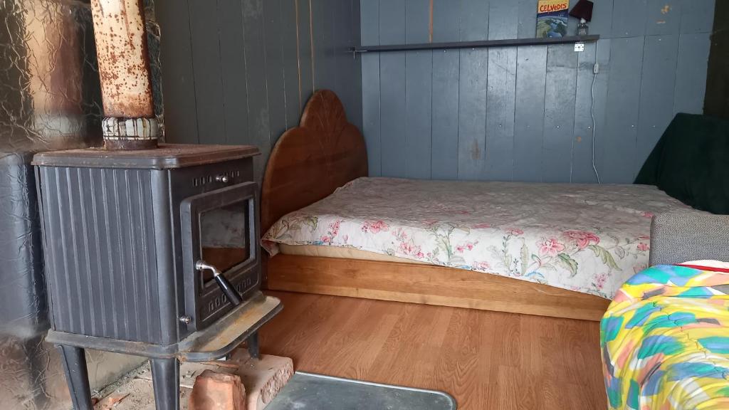 Plesumi的客房设有燃木炉和一张床。