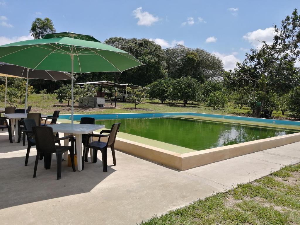 MonterreyCentro agroecoturistico las heliconias的游泳池旁带遮阳伞的桌子