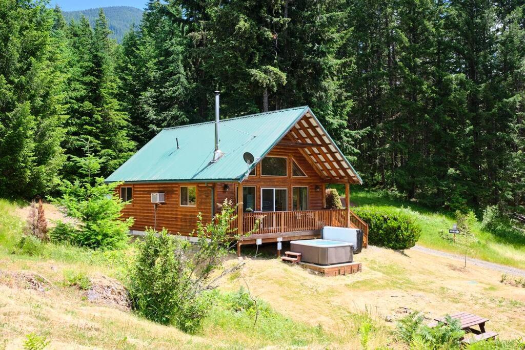 帕克伍德Mountain View Cabin, Hot Tub at White Pass, Mt Rainier National Park的田野中间的小木屋