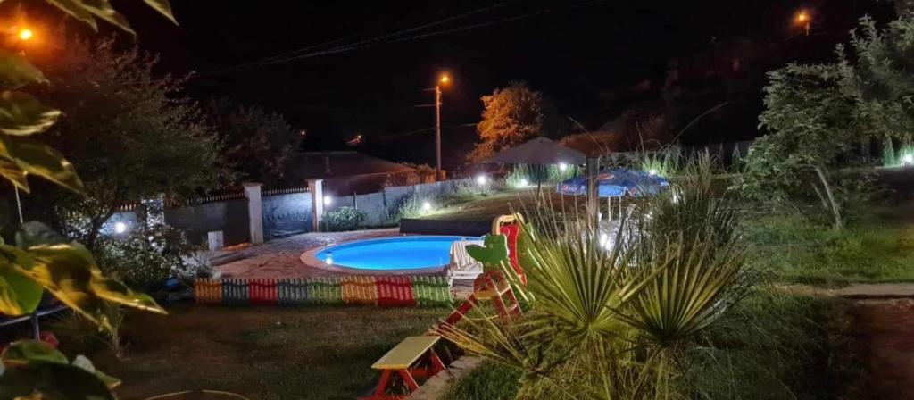 桑丹斯基Sunshine villa Dzhigurovo的夜间后院,设有游泳池和灯光