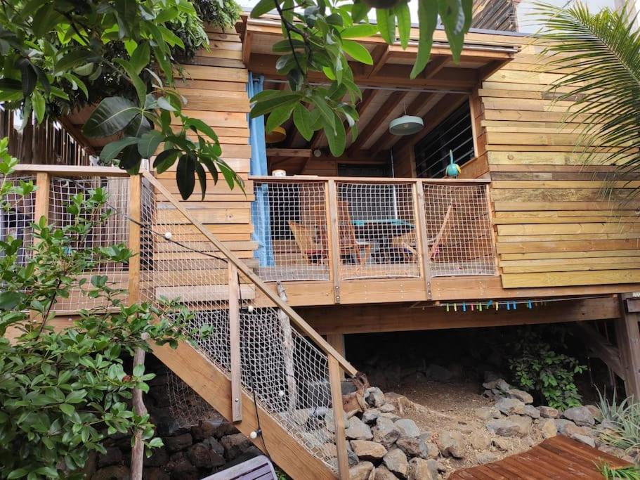 圣勒Bungalow écologique avec toilettes sèches LEU KABANON vue mer的坐在树屋甲板上的狗