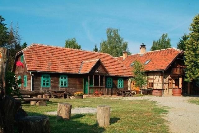 Graberje Ivanićko佩西恩科泽勒酒店的一座大型木房子,设有红色屋顶