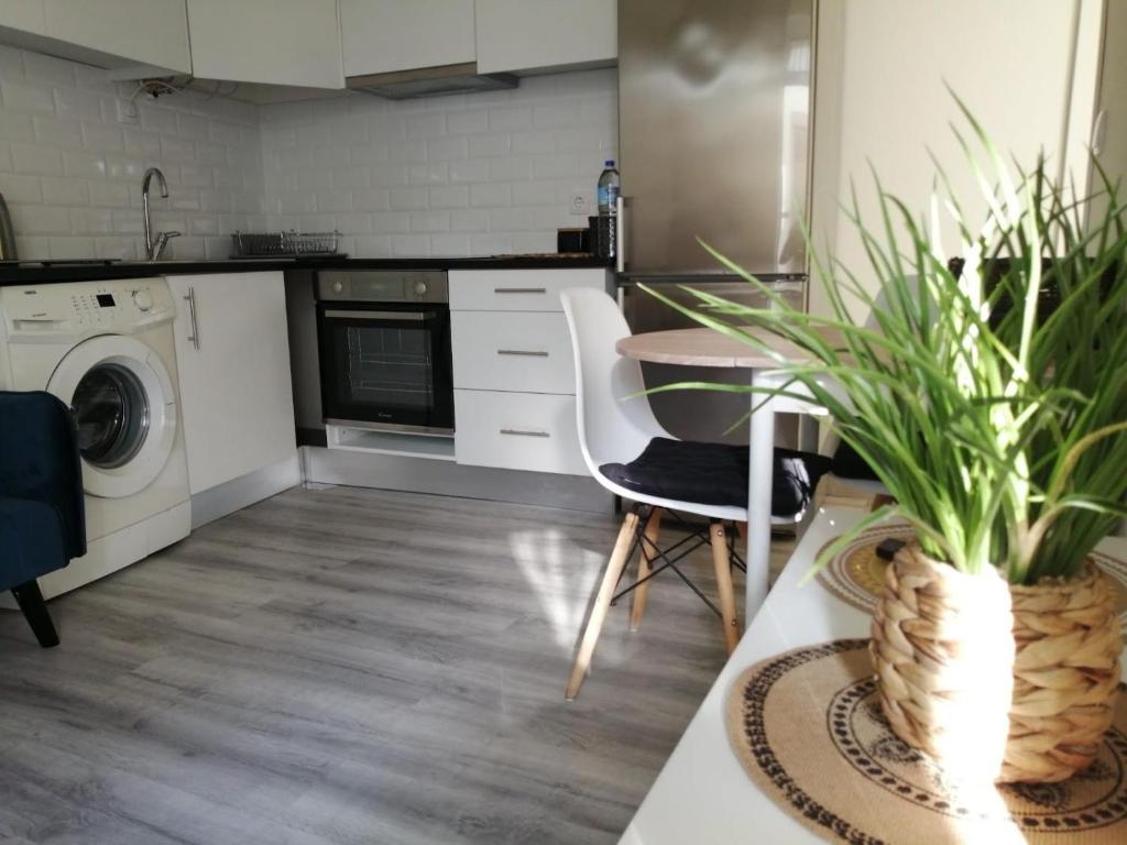 马亚Cantinho da Karine的厨房配有洗衣机和植物桌子