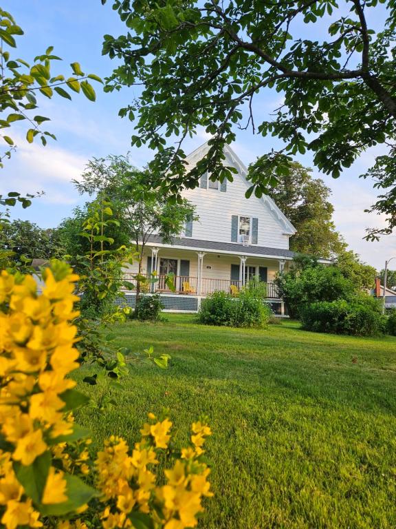 萨默赛德Sunflower Guest Suites的院子里的白色房子,花黄色