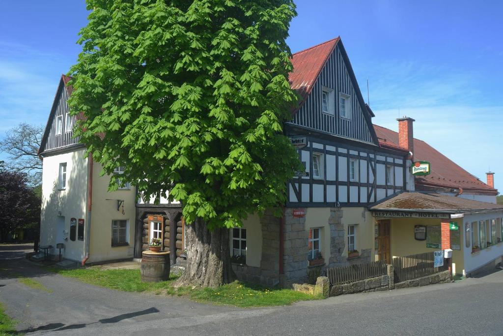 赫任斯科Hotel U Zeleného Stromu - Zum Grünen Baum的前面有一棵树的大建筑