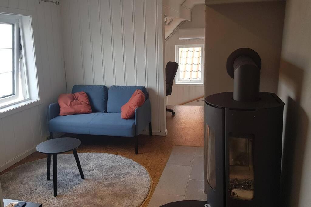 斯塔万格Large House in Central Stavanger的客厅配有蓝色的沙发和燃木炉。