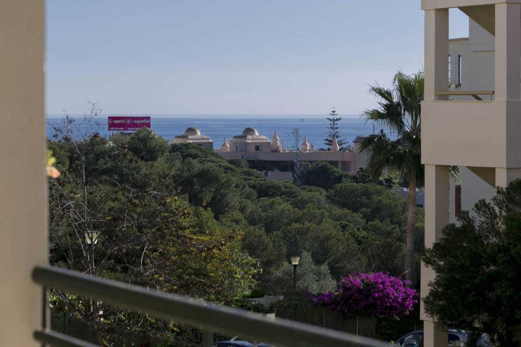 米哈斯科斯塔Apartment Aguila Real的大楼的阳台享有海景。