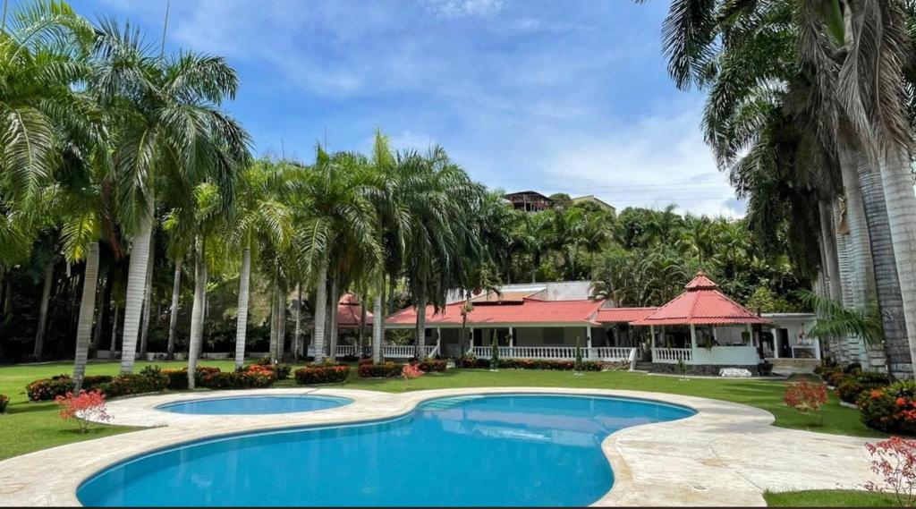 圣玛尔塔Finca San José los Naranjos的一个带游泳池和棕榈树的度假村