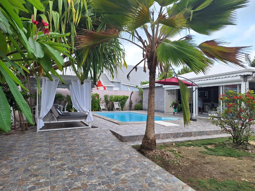 Courcelles SucrerieVilla Almeida à 500m de la plage的一个带游泳池和棕榈树的后院