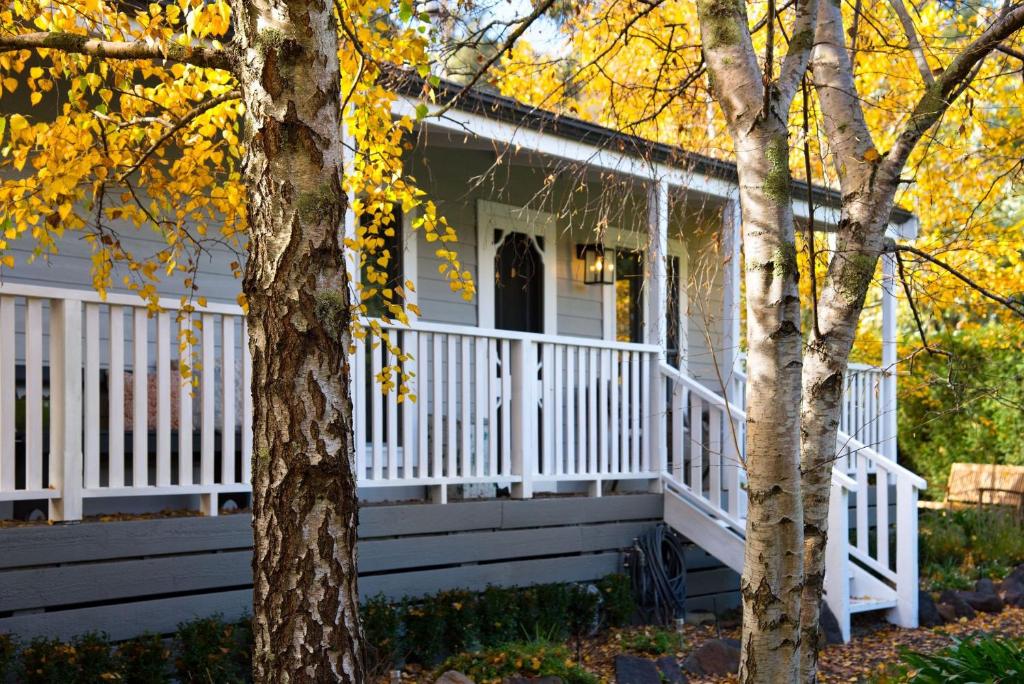戴尔斯福特金巴利度假屋的白色的房子,有门廊和树木