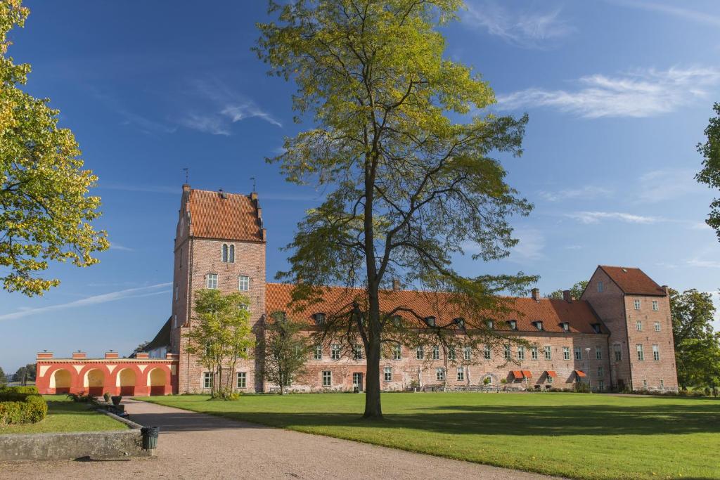 FjälkingeBäckaskog Slott的一座大城堡,前面有一棵树