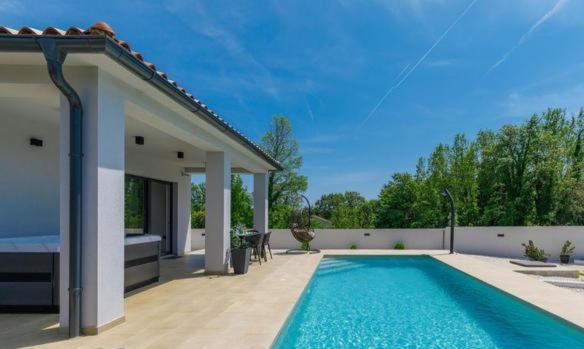 ManjadvorciVilla VINE - new luxury holiday house in a green oasis的房屋前的游泳池