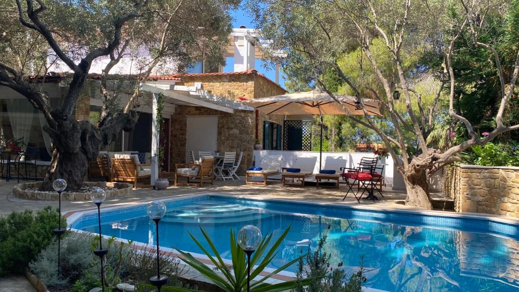 尼基季Villa eco Electra的一座带房子的庭院内的游泳池