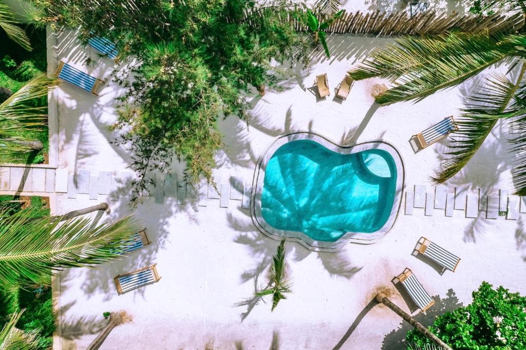 布韦朱RoRi Private Luxury Villas的享有泳池的顶部景致,配有蓝色椅子