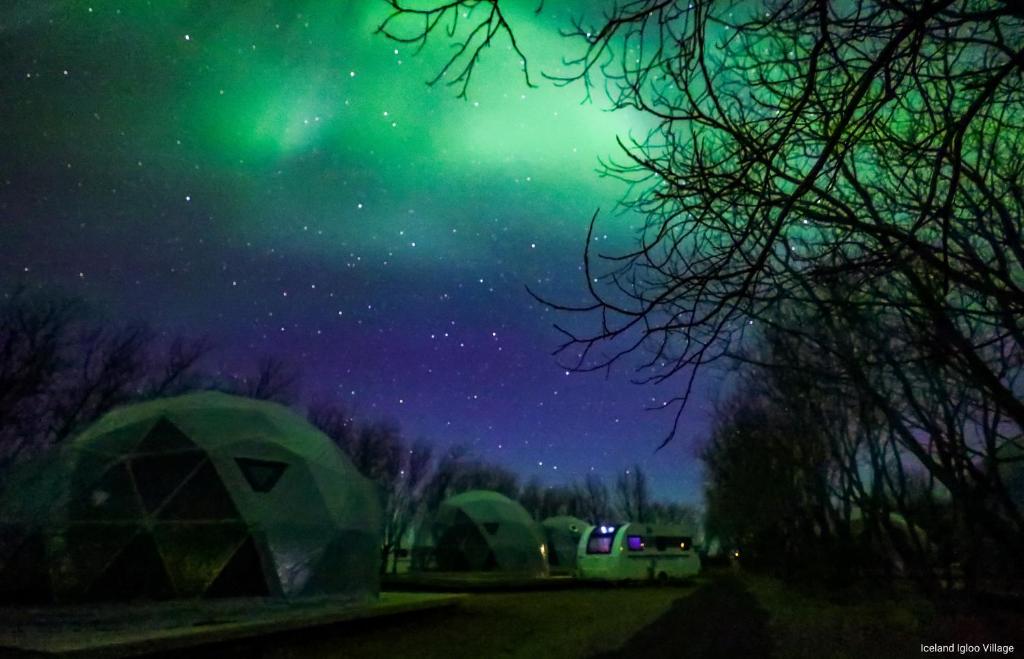 海拉Iceland Igloo Village的一群帐篷在北极光下